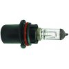Lampadina HB1 P29T 12v 65-45w