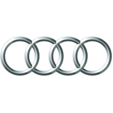 Fregio anteriore per AUDI A4 dal 2000 al 2004