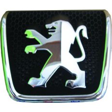 Fregio anteriore per PEUGEOT 307 dal 2001 al 2005