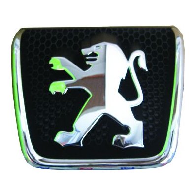 Fregio anteriore per PEUGEOT 307 dal 2001 al 2005