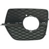 Griglia laterale paraurto con foro fendinebbia e fori modanatura per BMW X6 E71 dal 2008 al 2013 lato sinistro guidatore