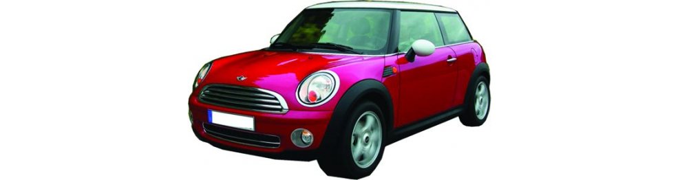 Mini   11/06-08/10 - Del 2006