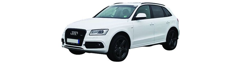 Audi Q5  09/12-12/16 - Del 2012