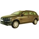 Audi Q7 03/06-03/09 - Del 2006