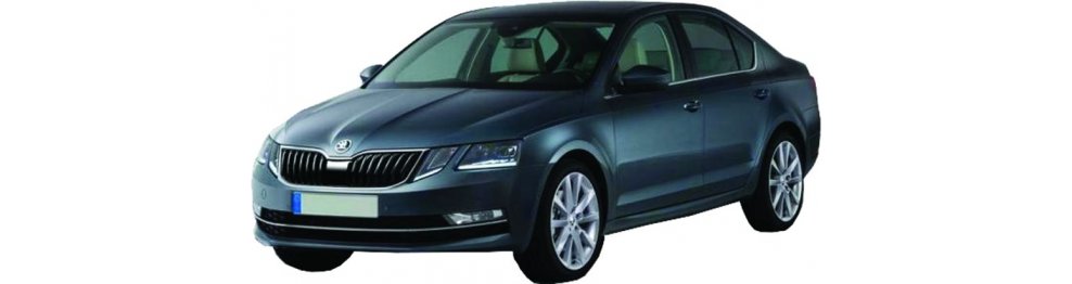 Skoda Octavia 02/17-09/20 - Del 2017