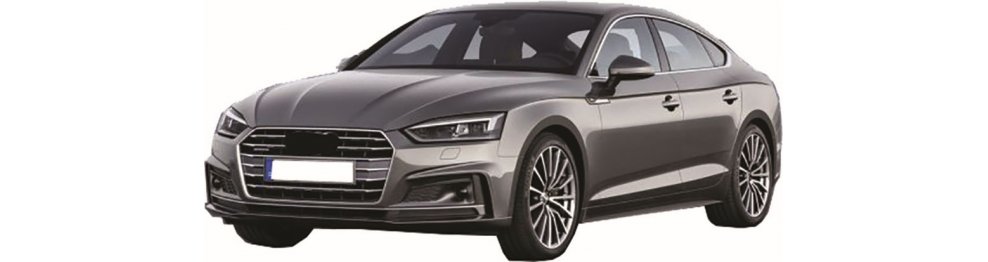 Audi A5 06/16- - Del 2016