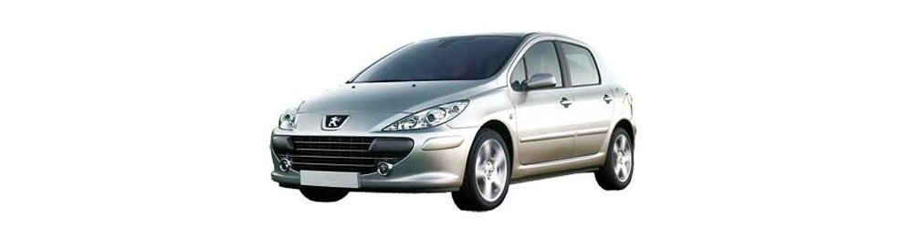 Peugeot  307 06/05-08/07 - Del 2005